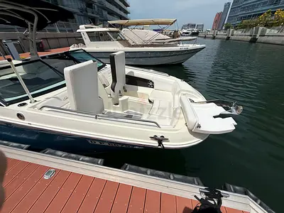 Sea Ray Sdx 270 new