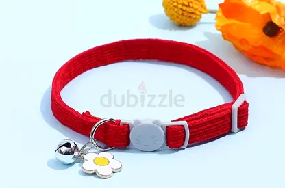 Collar for Cat.