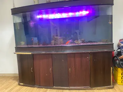🐠 Large Used Aquarium for Sale 🐠
