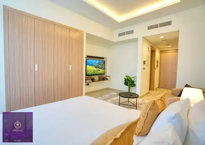Magnificent and Elegantly Furnished Studio For Rent (Brand New)