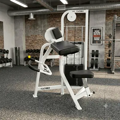 جهاز بايسبس سايبكس أمريكي أصلي بحالة ممتازة | Original Cybex VR2 Arm Curl - Excellent Condition
