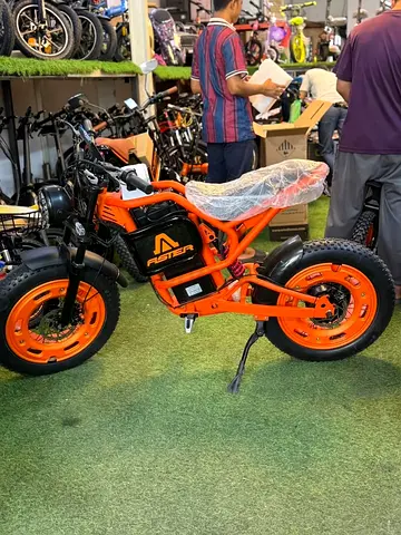 Aster Fat runner e bike 48 v