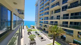 Distress Deal | 2BR Apartment for Sale | Al Marjan Island