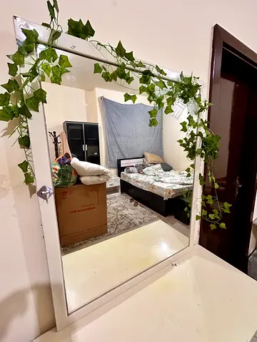 Vanity mirror