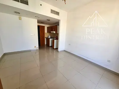 Tenanted | Well-Maintained Studio | Lake View | Investor Deal