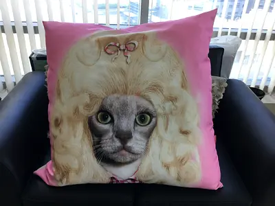 Pets Rock Country Cushion (80x80 cm)