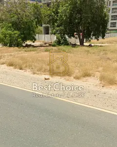 Commercial land for sale in Al Falah Muwailih area