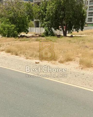 Commercial land for sale in Al Falah Muwailih area