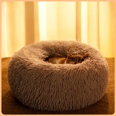 Cat Bed For Sale