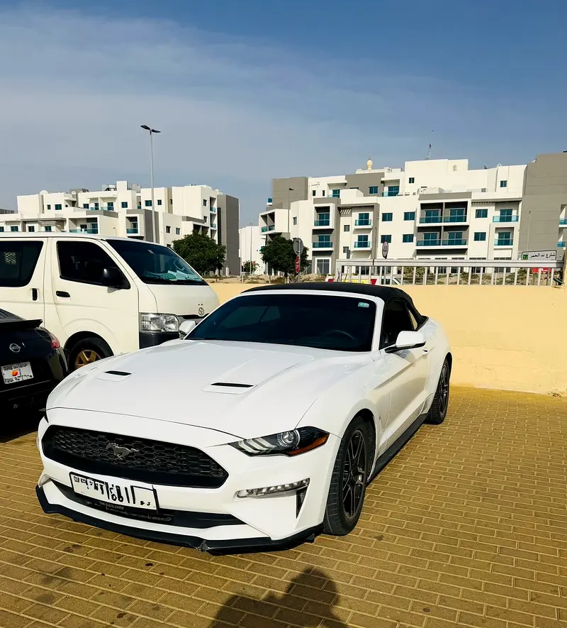 Ford Mustang 2020 — photo 1 of 6