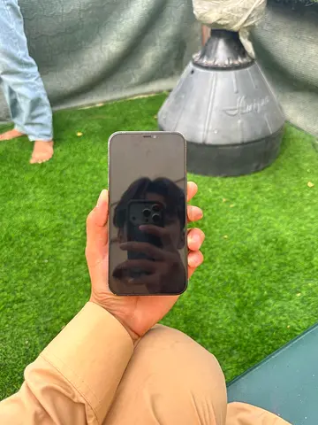 iPhone 12 Pro Max
