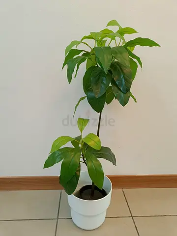 Ikea decorative plant