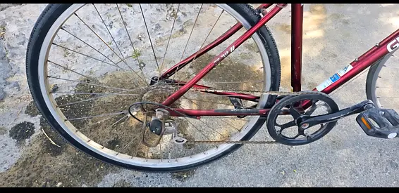 Adults bicycle