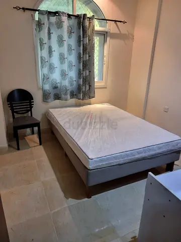 Executive bachelor bed space available