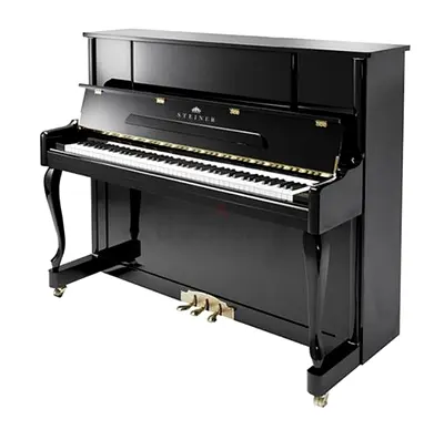 Upright acoustic piano - Steiner polished black, well maintained