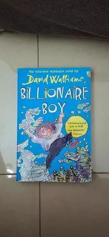 Billionaire Boy Book