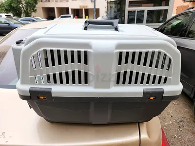 Cats and dogs carriers for air travel