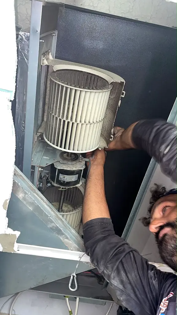 DPV_View_Image_4