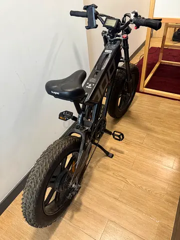 Kugoo T01 Electric Bike 750W 20inch Fat Tire Electric Bicycle for Adults