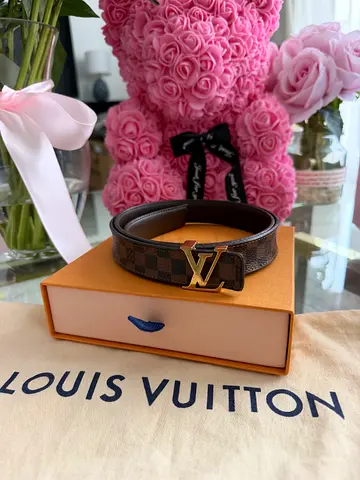 Louis Vuitton Damier Belt