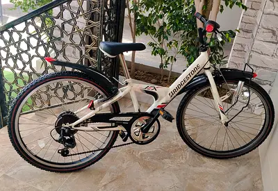 BRIDCESTONE Brand 24 inch adult bike