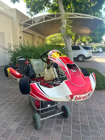 Birel Rotax Max Senior
