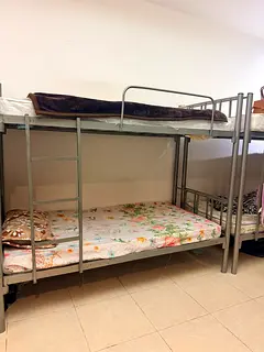 Ladies Bedspace available in tecom barsha heights
