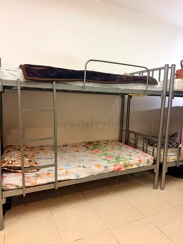 Ladies Bedspace available in tecom barsha heights