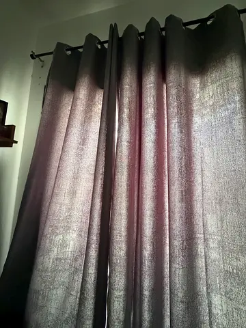 Curtain