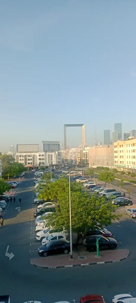 DPV_View_Image_0