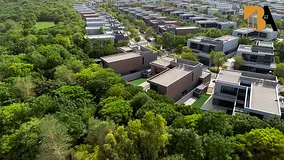 Freehold villa Plot Fro Sale