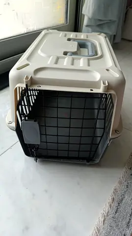 Kitten, Medium Plastic Pet Carrier / Travel Crate - Good Condition