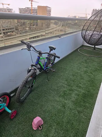 Kids 16-inch Bicycle with Training Wheels - Good Condition