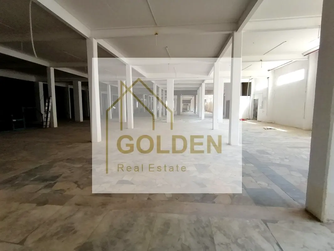 gallery-image