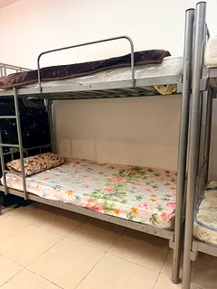 Ladies Bedspace available in tecom barsha heights