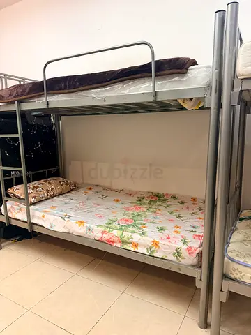 Ladies Bedspace available in tecom barsha heights