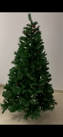 Large Christmas Tree for Sale!