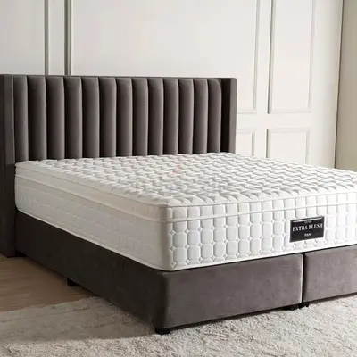 Pan Home Plush Soft Mattress (Queen size)