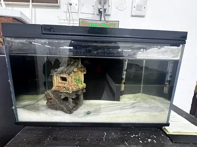 Aquarium