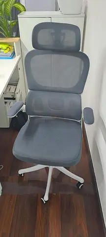 Office mesh chairs with lumber support