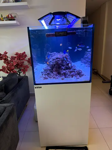 WaterBox peninsula 6025 with equipment