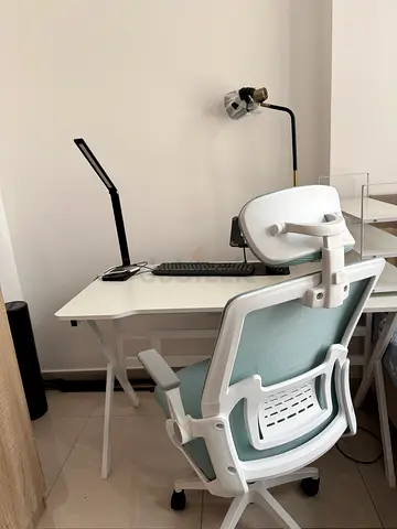 Ergonomic Office Chair