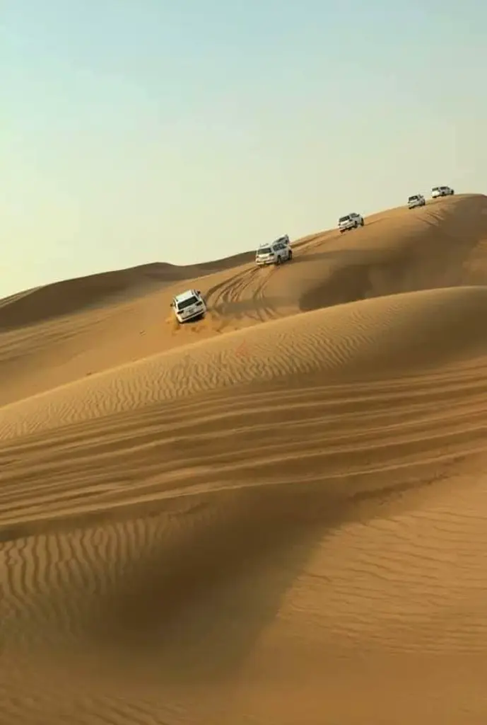 DPV_View_Image_7