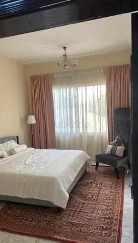 Large baby pink Curtain with lining and railing