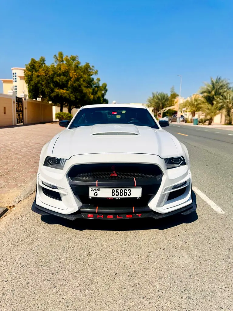 Ford Mustang 2014 — photo 1 of 6
