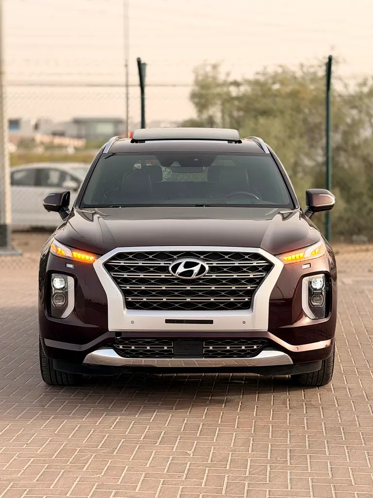 Hyundai Palisade 2022 — photo 1 of 20