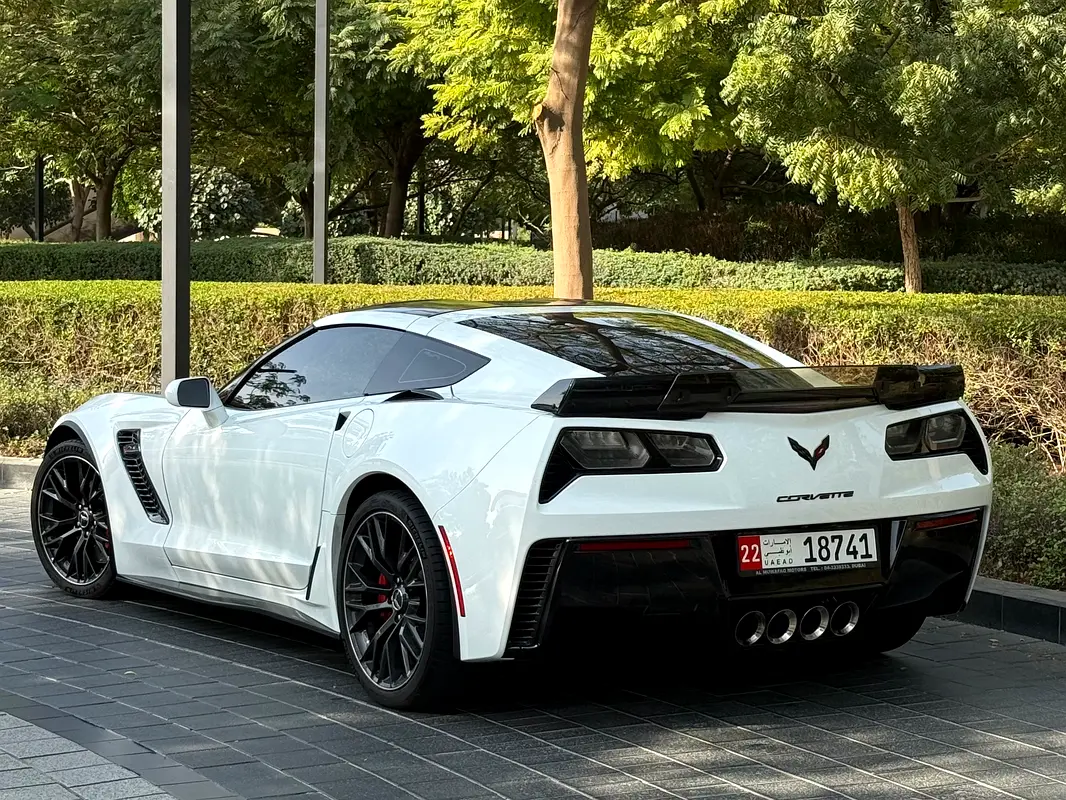 Chevrolet Corvette 2019 — photo 1 of 9