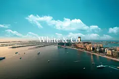 Full Palm Views | High Floor | Upgraded