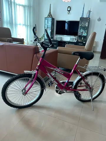 Used Pink Mountain-Style Bicycle - Good Condition