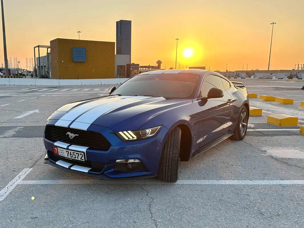 Ford Mustang 2017 — photo 1 of 6